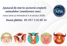 APIA anunță plăți de peste 49 de milioane de lei pentru sectorul zootehnic